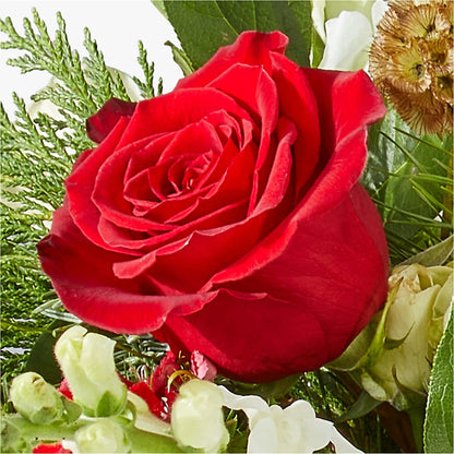 Deck the Halls Bouquet –  Randalls, Pleasanton CA