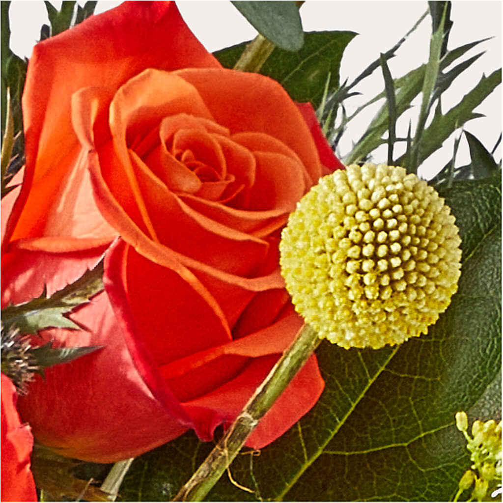 Disco Bouquet –  Randalls, Pleasanton CA