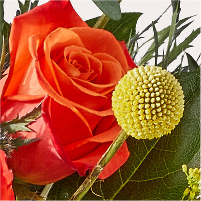 Disco Bouquet –  Randalls, Pleasanton CA