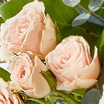 Inspired Bouquet –  Randalls, Pleasanton CA
