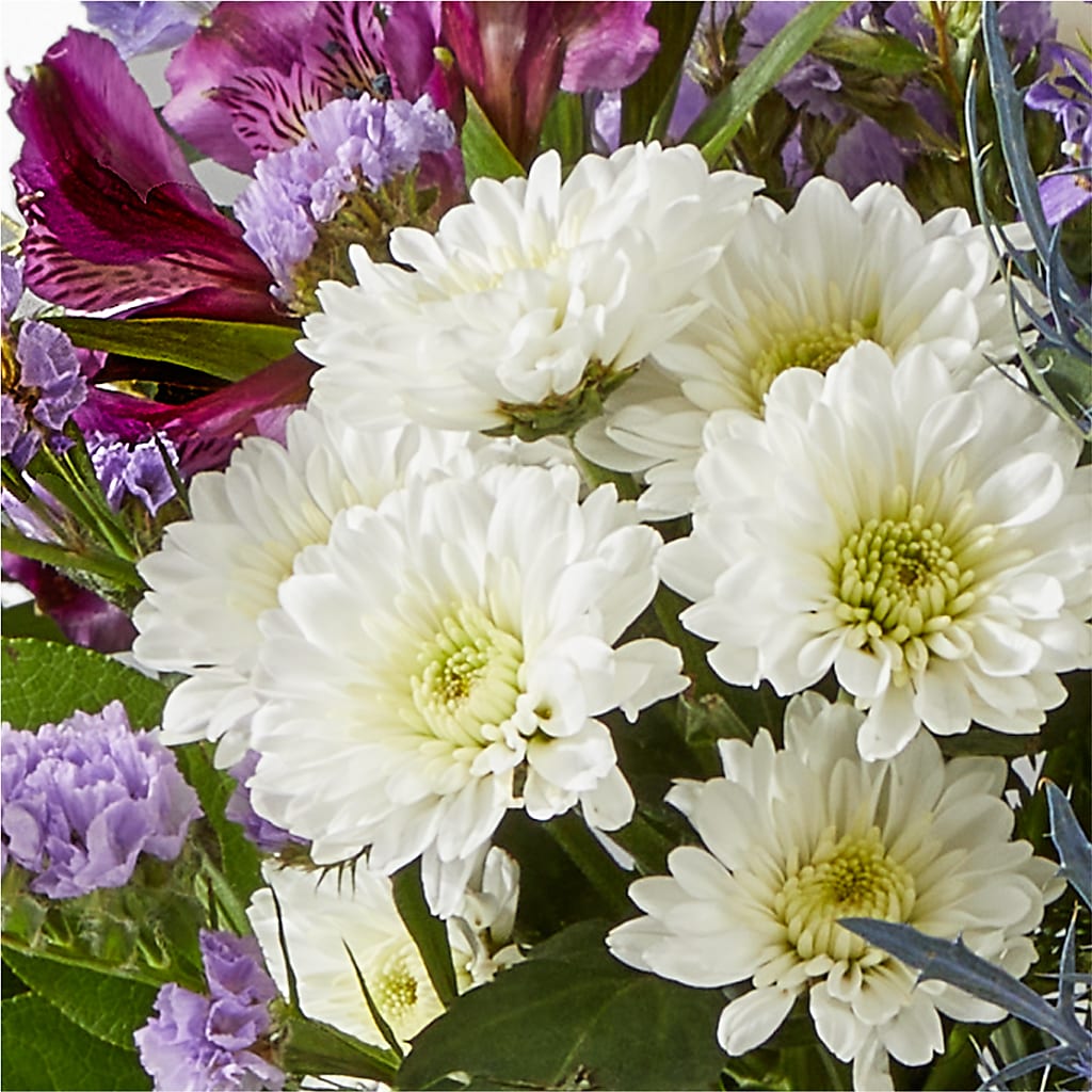 Shooting Star Bouquet –  Randalls, Pleasanton CA