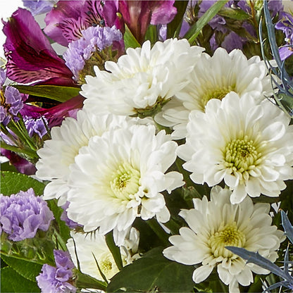 Shooting Star Bouquet –  Randalls, Pleasanton CA