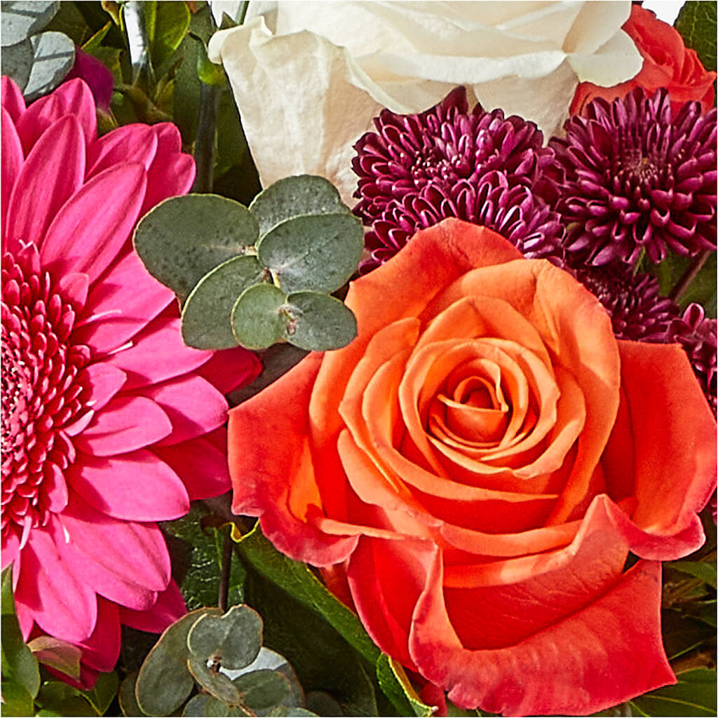 Smell the Roses Bouquet –  Randalls, Pleasanton CA