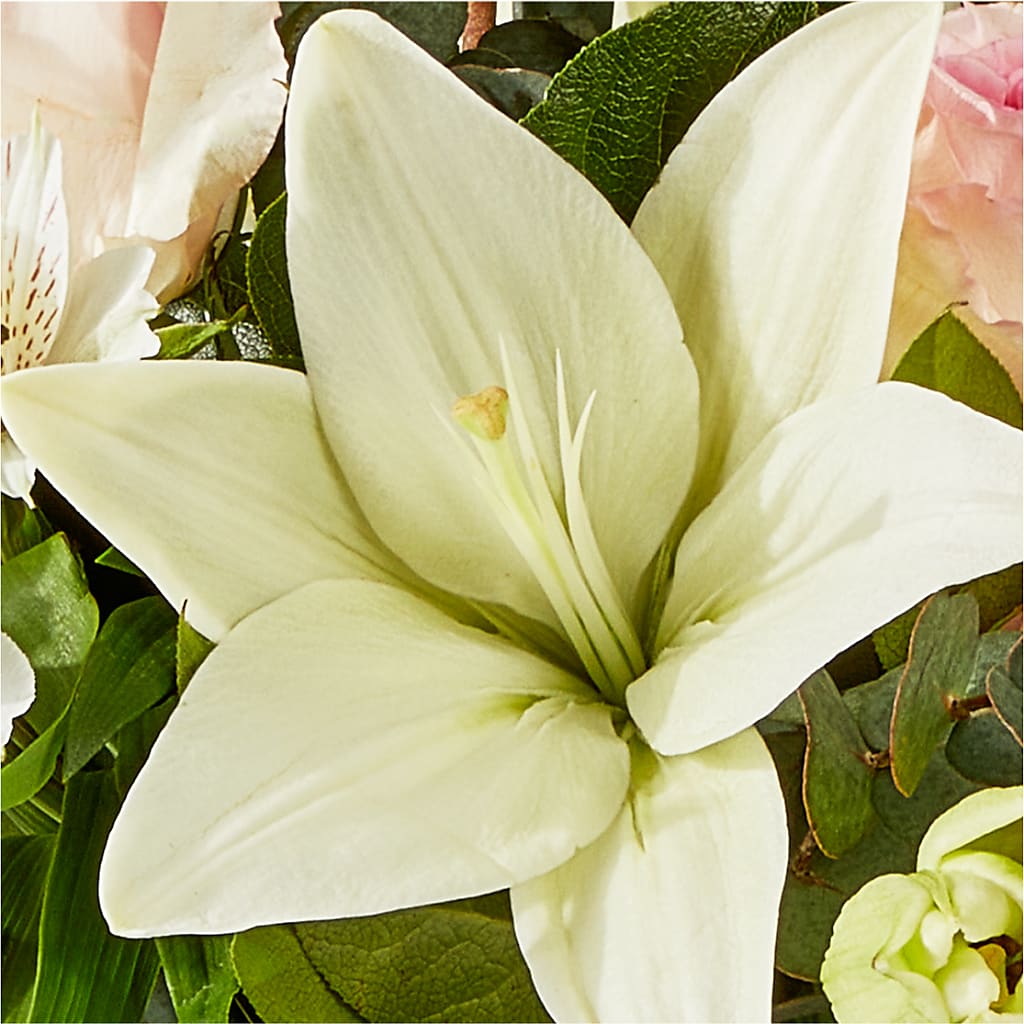 Ballet Slippers Bouquet –  Randalls, Pleasanton CA
