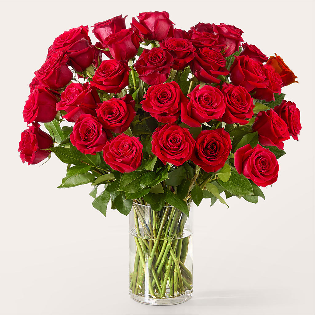 The One Red Rose Bouquet –  Randalls, Pleasanton CA