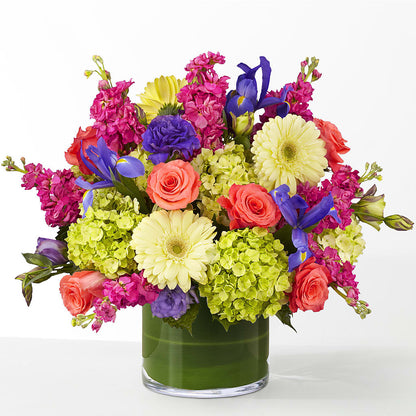 The Couture –  Randalls, Pleasanton CA