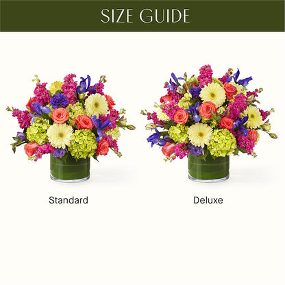 The Couture –  Randalls, Pleasanton CA